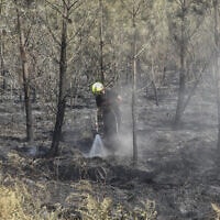 שריפה בצרפת (צילום: AP Photo/Bob Edme)