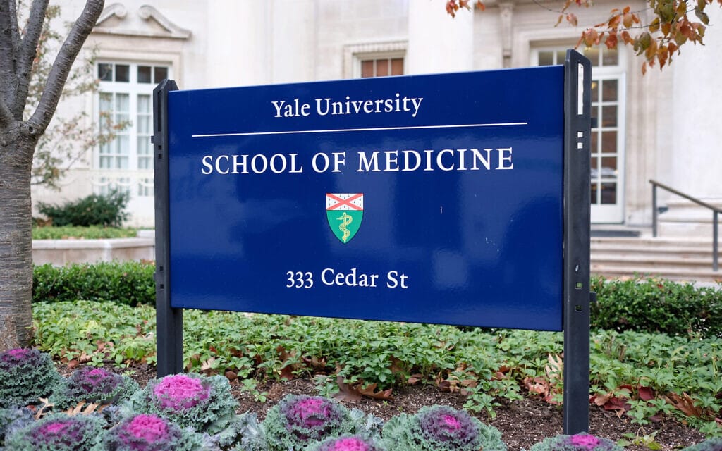 בית הספר לרפואה של אוניברסיטת ייל (צילום: Eric Wang/Yale School of Medicine)