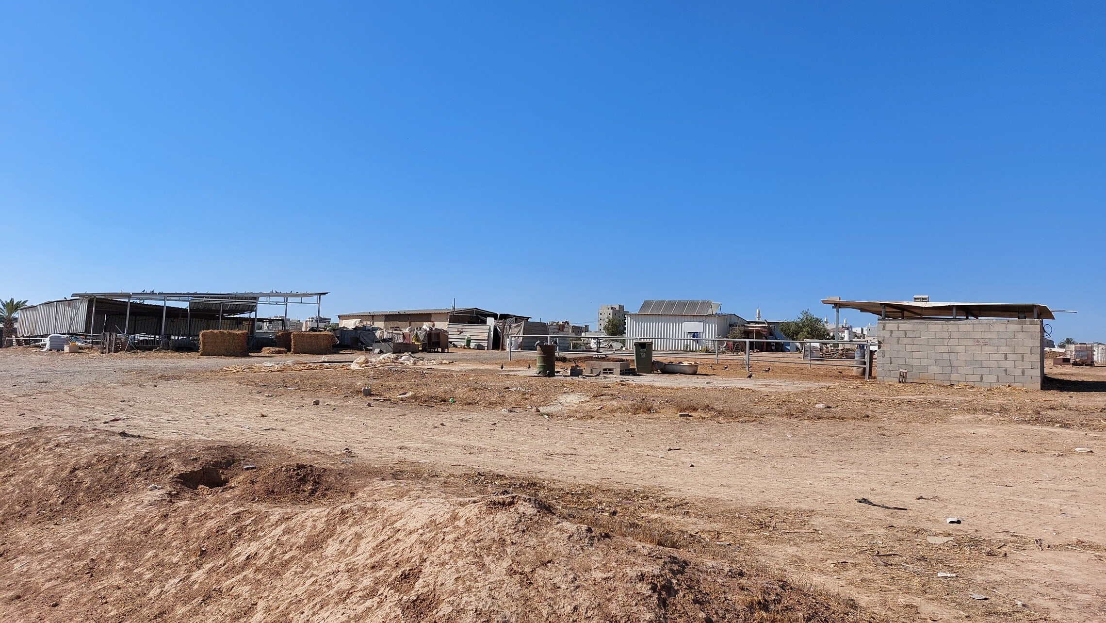 החווה של משפחת אבו עאבד (צילום: עומר שרביט)