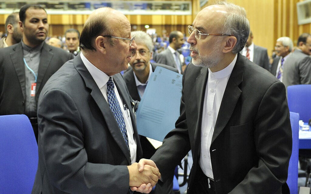 איברהים עוסמן לוחץ את ידו של ראש הארגון לאנרגיה אטומית של איראן עלי אכבר סאלחי בווינה, 16 בספטמבר 2013 (צילום: AP Photo/Hans Punz)