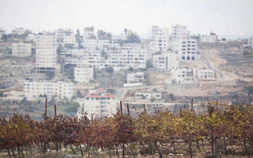 מבט על הכרמים של יקב פסגות, 2012 (צילום: Yonatan Sindel/Flash90)