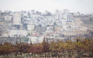 מבט על הכרמים של יקב פסגות, 2012 (צילום: Yonatan Sindel/Flash90) מבט על הכרמים של יקב פסגות, 2012 (צילום: Yonatan Sindel/Flash90)