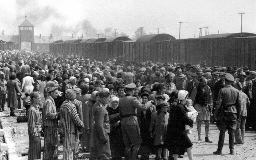 יהודים בסלקציה על הרמפות באושוויץ, 1944 (צילום: רשות הציבור)