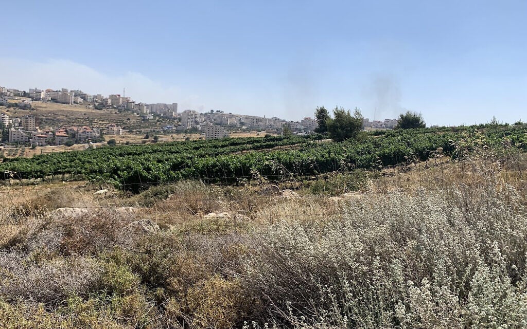 אדמה חקלאית בגדה המערבית (צילום: אבנר הופשטיין)