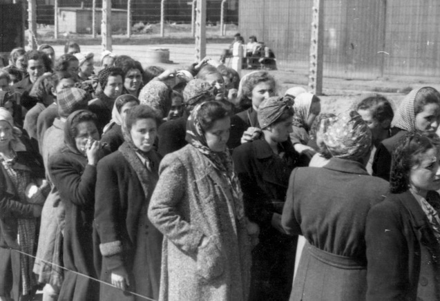 נשים "כשירות לעבודה" מגטו טט, הונגריה, לאחר הסלקציה באושוויץ־בירקנאו, מאי 1944 (צילום: רשות הציבור, באמצעות ויקישיתוף)