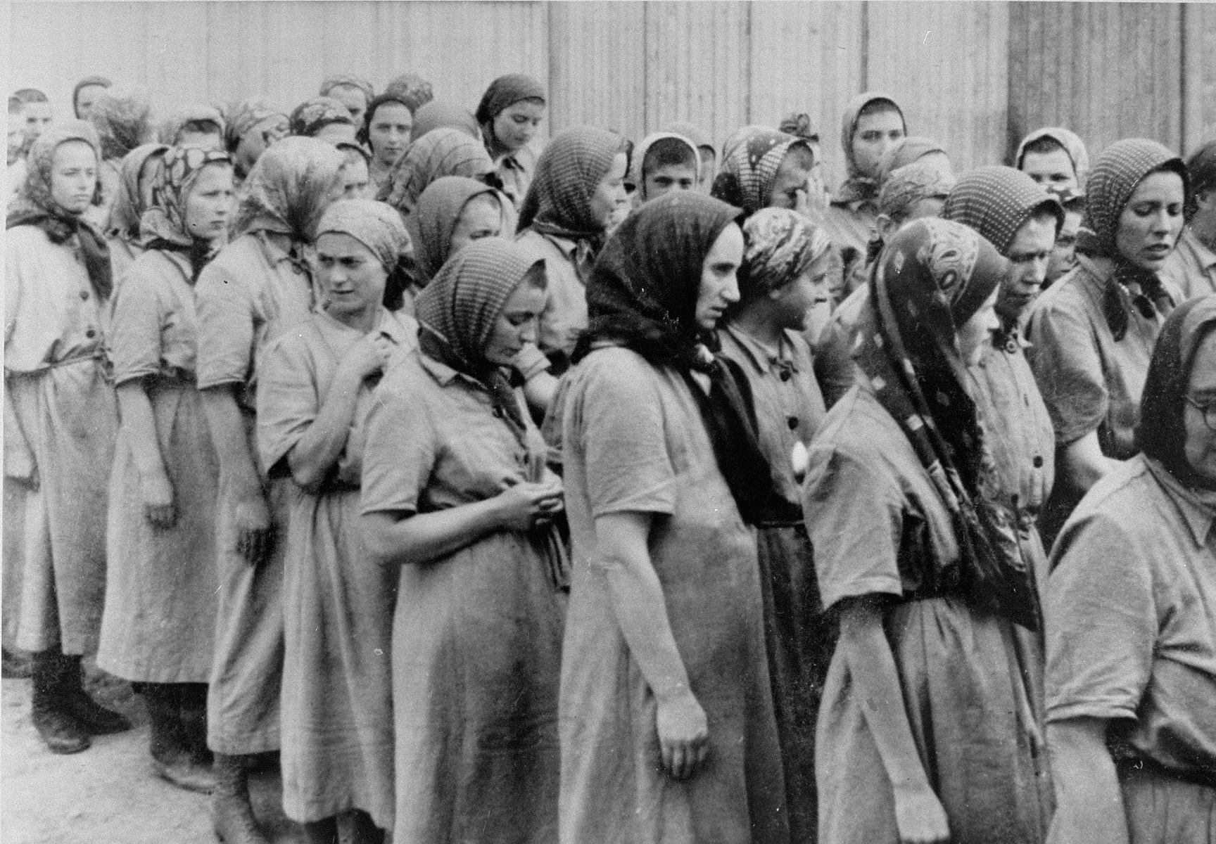 נשים יהודיות מרוס התת־קרפטית שנבחרו לעבודות כפייה באושוויץ־בירקנאו, צועדות אל הצריפים (צילום: רשות הכלל, באמצעות ויקישיתוף)