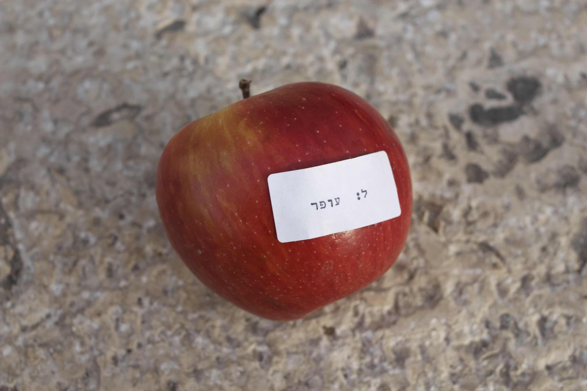 תפוח שהשאיר ניצן מיוסט למנכ&quot;ל שופרסל עופר בלוך (צילום: ניצן מיוסט)