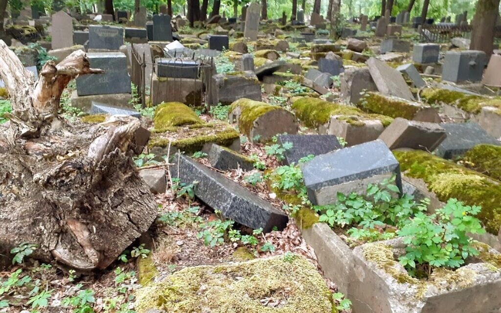 מצבות מנופצות בבית הקברות היהודי בקובנה, ליטא, יולי 2019 (צילום: רפאל אהרן)