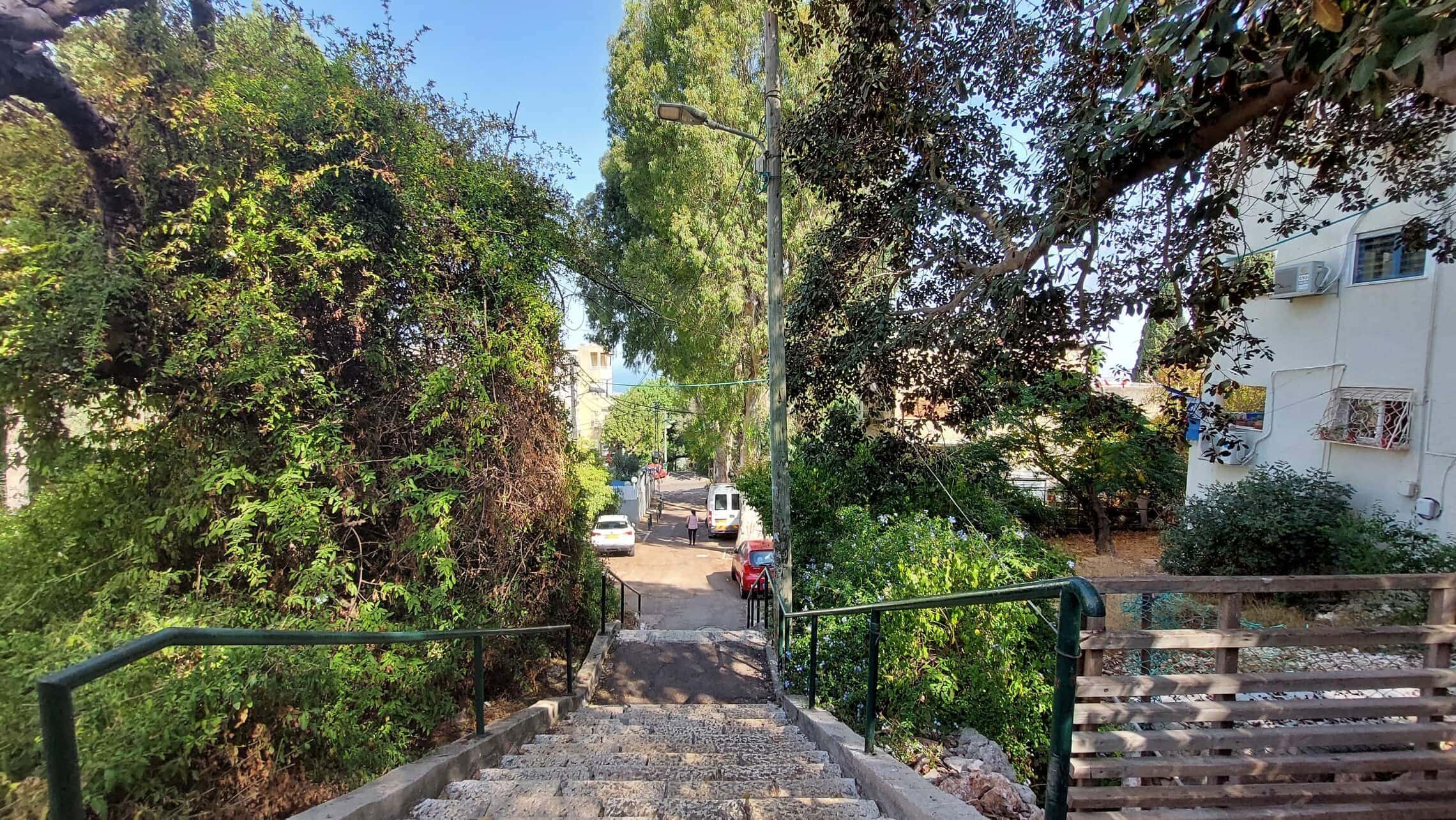סמטת מדרגות המובילה לחלק העליון של רובע הדר בחיפה (צילום: עומר שרביט)