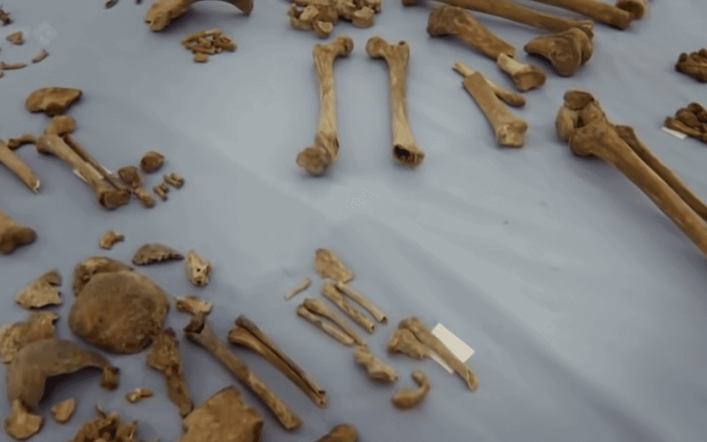 העצמות שנמצאו בבאר בנוריץ&#039;