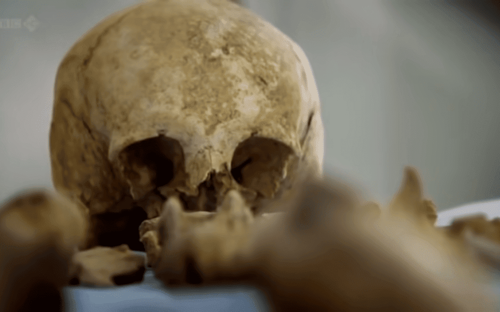 העצמות שנמצאו בבאר בנוריץ&#039; (צילום: BBC, צילום מסך)