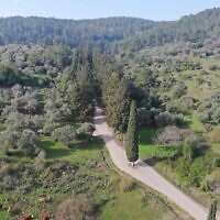 יער קולה בפאתי העיר אלעד (צילום: כאמן עליאן, קק"ל) יער קולה בפאתי העיר אלעד (צילום: כאמן עליאן, קק"ל)