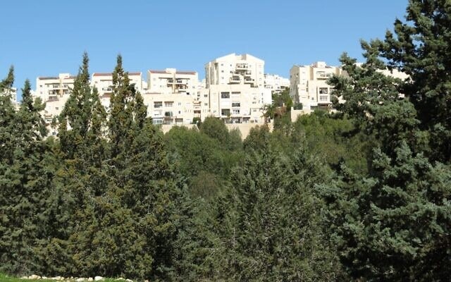 העיר אלעד ויער קולה
