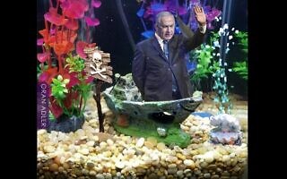 ממ של אורן אדלר ממ של אורן אדלר