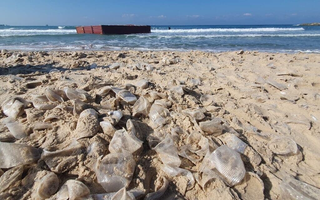 כוסות פלסטיק חד-פעמיות שהתפזרו על חוף הים באשקלון בעקבות התפרקות המכולות מול חופי הדרום ב-27 בדצמבר 2022 (צילום: פרד ארזואן, המשרד להגנת הסביבה)