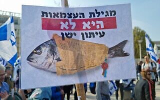שלט בהפגנה נגד ההפיכה המשפטית (צילום: Karen Saar) שלט בהפגנה נגד ההפיכה המשפטית (צילום: Karen Saar)