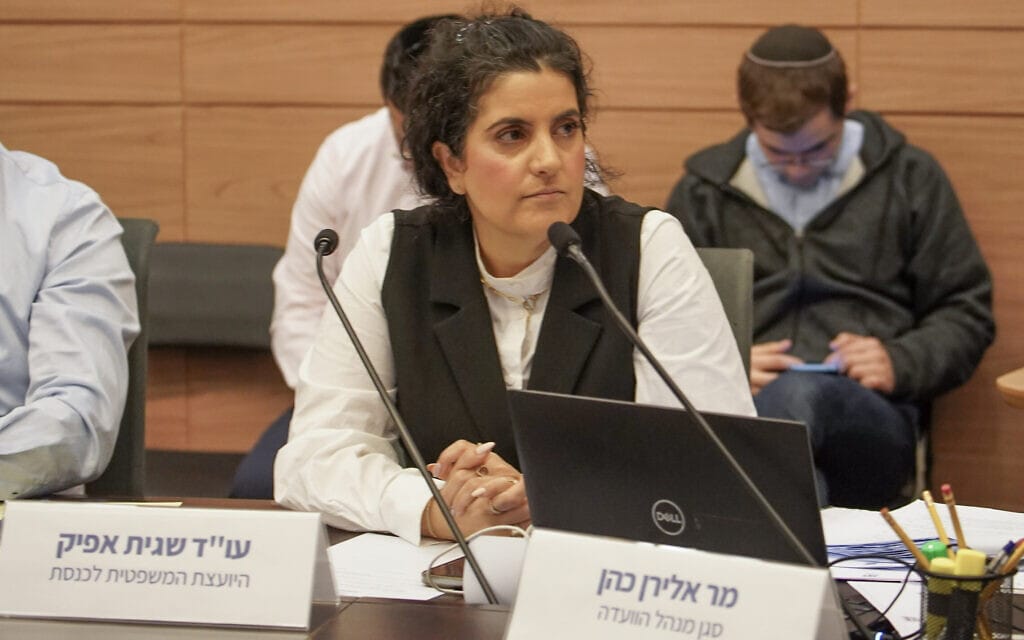 היועצת המשפטית של הכנסת שגית אפיק בוועדת החוקה, 26 במרץ 2023 (צילום: דני שם טוב, דוברות הכנסת) היועצת המשפטית של הכנסת שגית אפיק בוועדת החוקה, 26 במרץ 2023 (צילום: דני שם טוב, דוברות הכנסת)