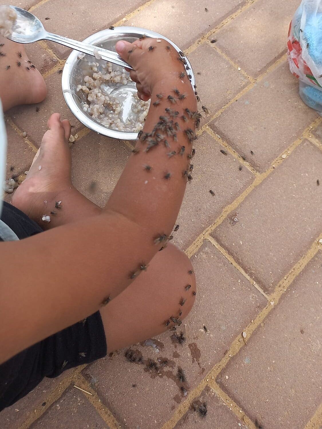 זבובים מכסים ילד בנגב (צילום: מיטש סומר)