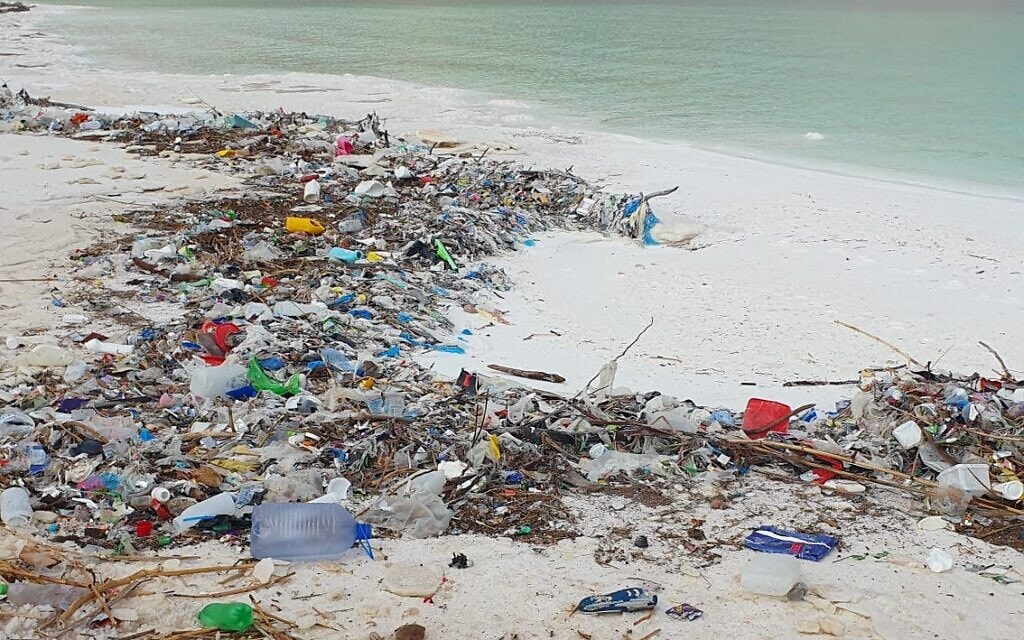פסולת שהצטברה על גדות ים המלח, מרץ 2023 (צילום: אדיבות מיזם 'להציל את ים המלח')