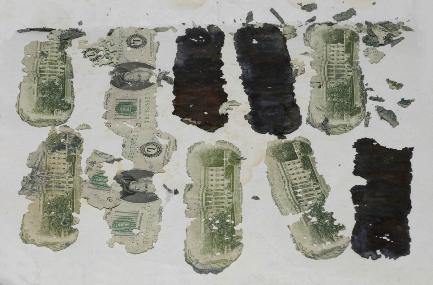 חלק מהכסף שדי. בי. קופר גנב נמצא על גדות נהר ב-1980 (צילום: FBI)