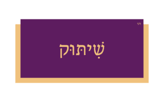 שִׁיתּוּק שִׁיתּוּק