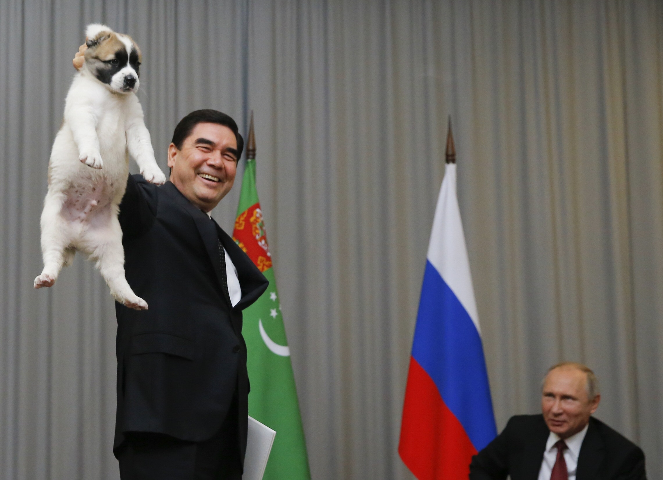 נשיא טורקמניסטן לשעבר גורבנגולי ברדימוחמדוב מציג גור כלבים לנשיא רוסיה ולדימיר פוטין בסוצ&#039;י, רוסיה, 11 באוקטובר 2017 (צילום: Maxim Shemetov, Pool Photo via AP)