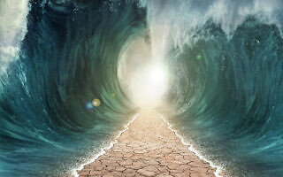 יציאת מצרים. אילוסטרציה (צילום: iStock) יציאת מצרים. אילוסטרציה (צילום: iStock)