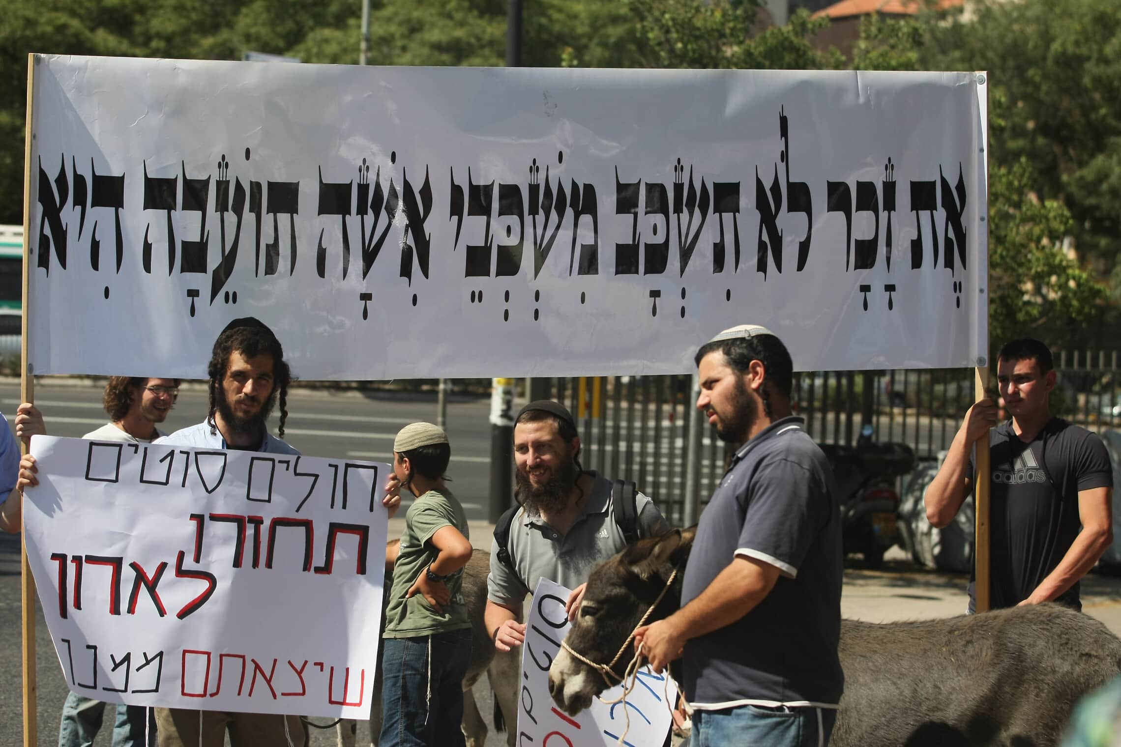 &quot;מצעד הבהמות&quot; שארגנו בירושלים חרדים-לאומיים נגד קהילת הלהט&quot;ב, 28 ביולי 2011 (צילום: קובי גדעון/פלאש90)