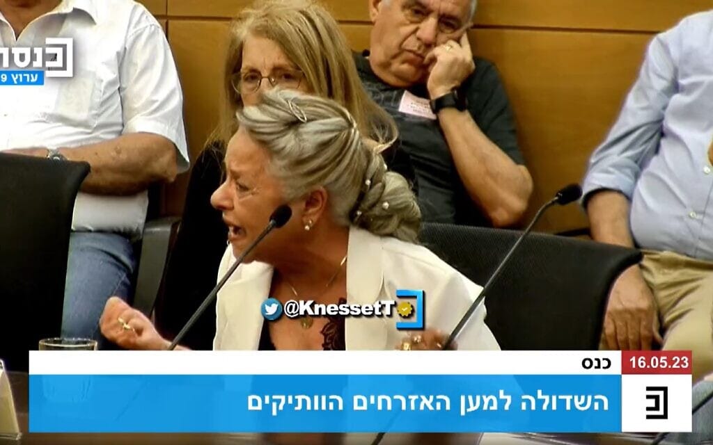 לאה קלוגמן בכנס השדולה למען אזרחים ותיקים בכנסת, 16 במאי 2023, צילום מסך מערוץ הכנסת