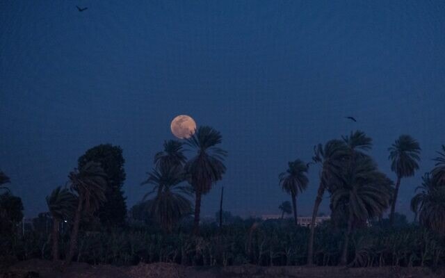 ירח על הנילוס (צילום: חנני רפופורט)