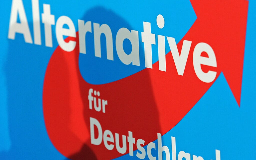 שלט עם הסמליל של מפלגת אלטרנטיבה לגרמניה (צילום: Jens Meyer, AP)