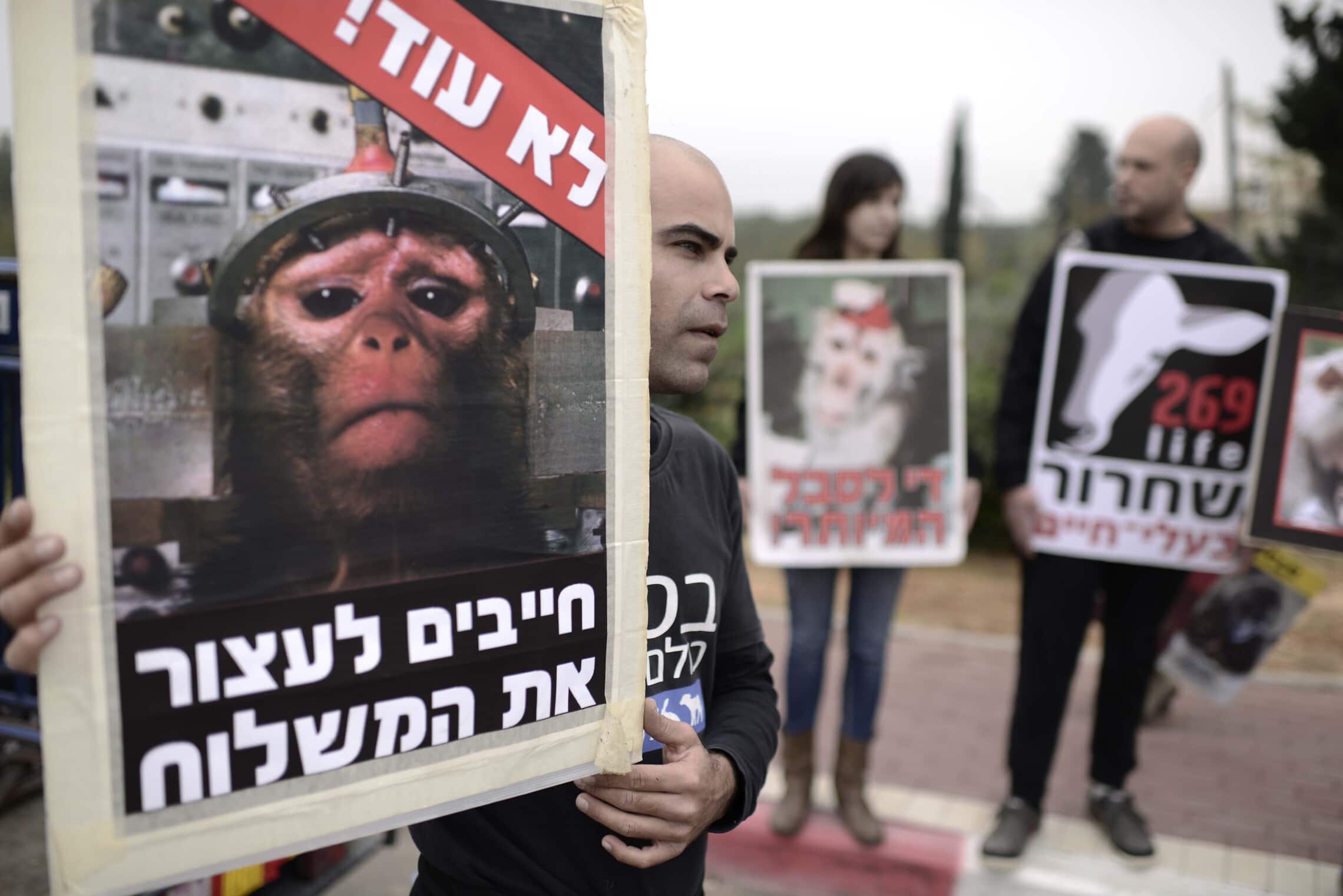 מחאה נגד משלוח קופים לניסויים מחוות מזור, 19 בדצמבר 2014 (צילום: תומר נויברג/פלאש90)