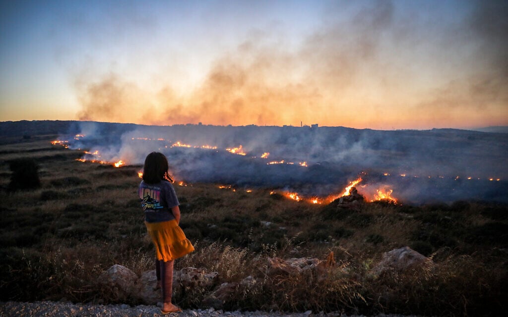 נערה פלסטינית משקיפה על השריפות שתפסו בשדות ליד הכפר כפר קוסרא בגדה המערבית, בעקבות הצתות שביצוע מתנחלים במקום. 22 ביוני 2023 (צילום: פלאש90)