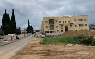 פרויקט “דורות” בזכרון יעקב (צילום: אבנר הופשטיין) פרויקט “דורות” בזכרון יעקב (צילום: אבנר הופשטיין)