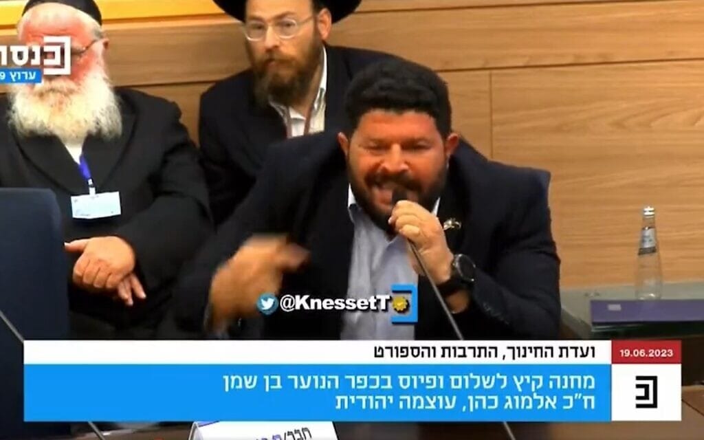 אלמוג כהן בוועדת החינוך, צילום מסך מערוץ הכנסת