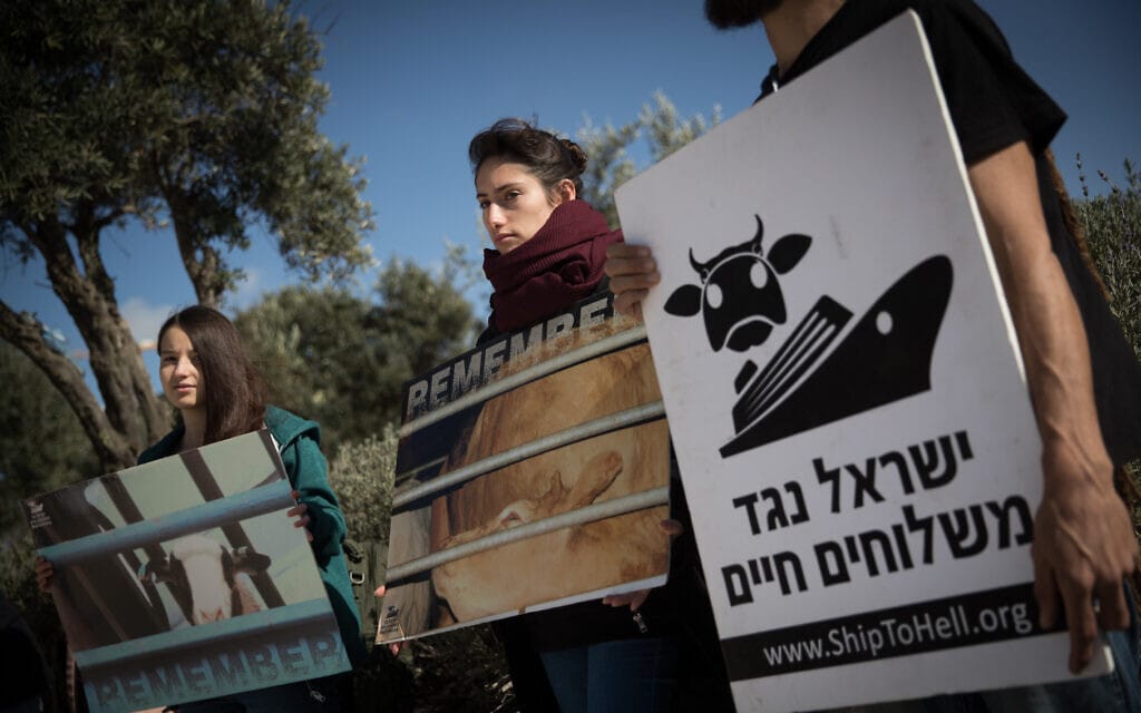 הפגנה נגד המשלוחים החיים ליד בית המשפט העליון בירושלים ב-2018 (צילום: יונתן זינדל/פלאש90)