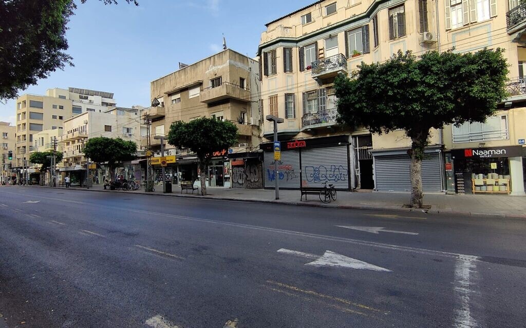 עצי הפיקוס ברחוב אלנבי בתל אביב לפני כריתתם