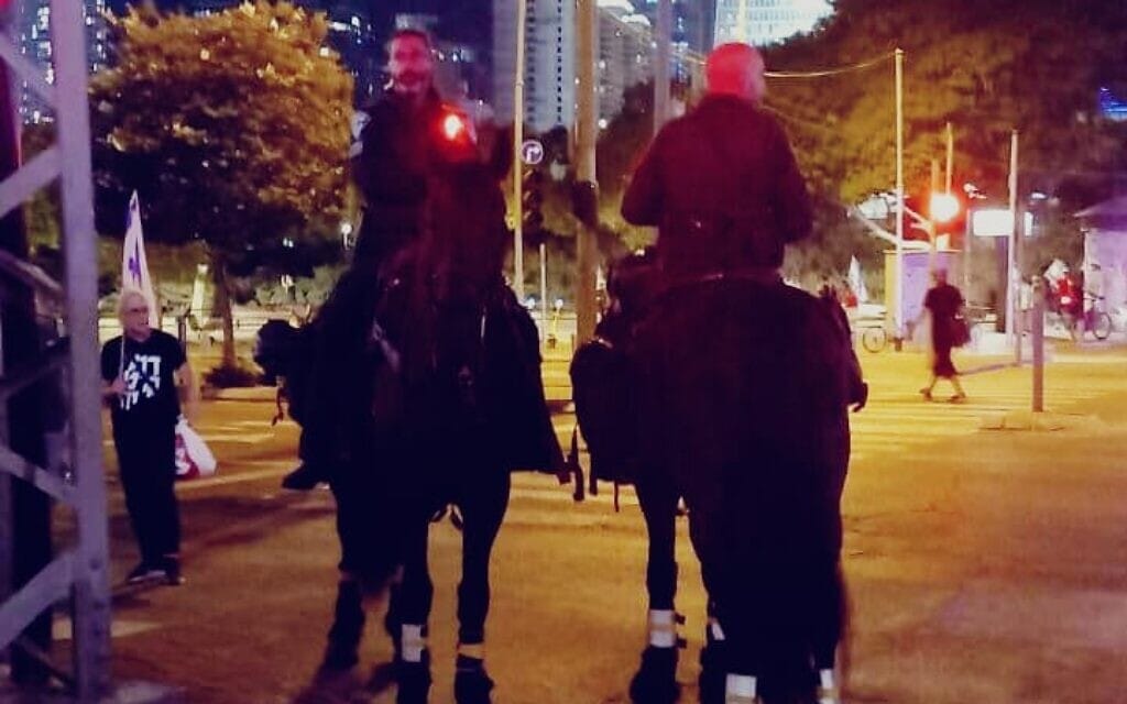 סוסים בהפגנה בקפלן, אוגוסט 2023 (צילום: כרמלה כהן שלומי)