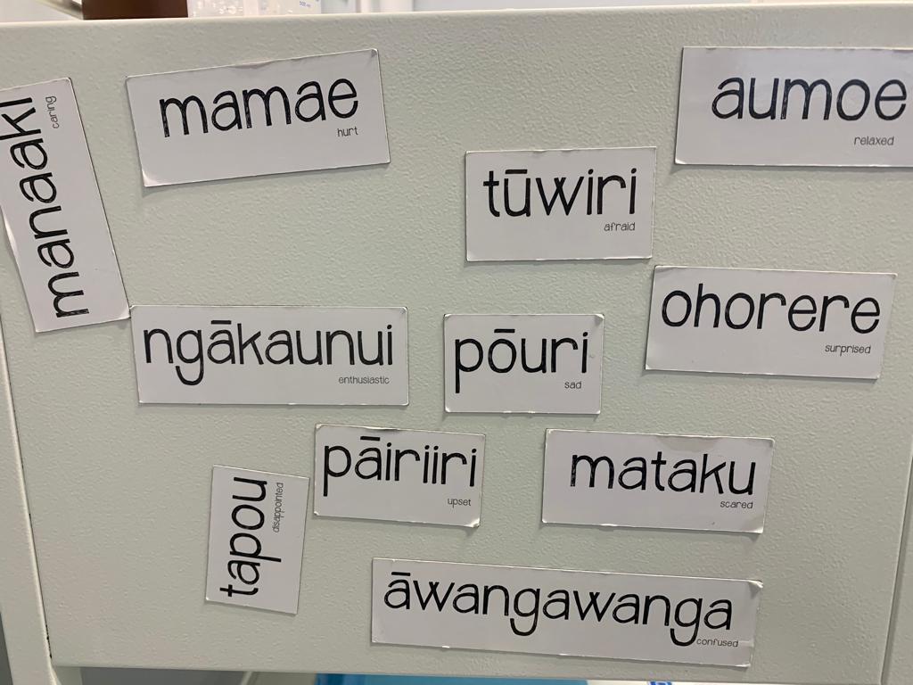 לוח מילים במאורית, במרפאה המקומית ברגלן ניו זילנד (צילום: ד&quot;ר שרון אביטל)
