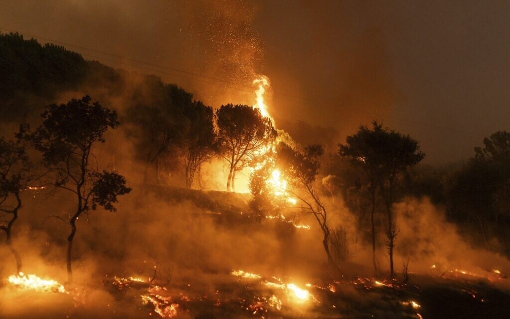 שרפת ענק משתוללת ביער ליד העיר אלכסנדרופוליס ביוון, במקום שבו נמצאו גופות של 18 מהגרים לא חוקיים, 22 באוגוסט 2023 (צילום: AP Photo/Achilleas Chiras)