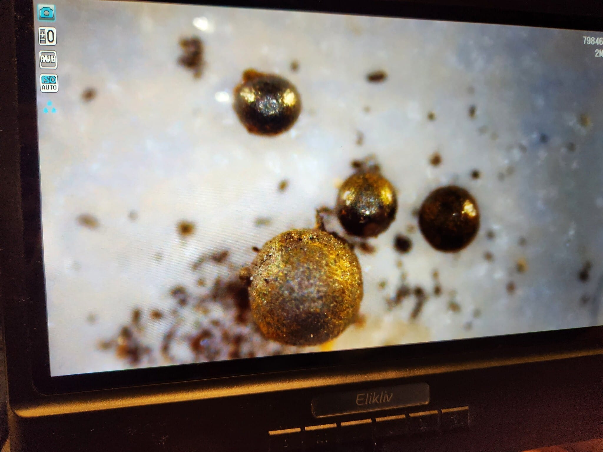 מבט מיקרוסקופי על הכדוריות שנמצאו בקרקעית האוקיינוס (צילום: באדיבות המצולם)