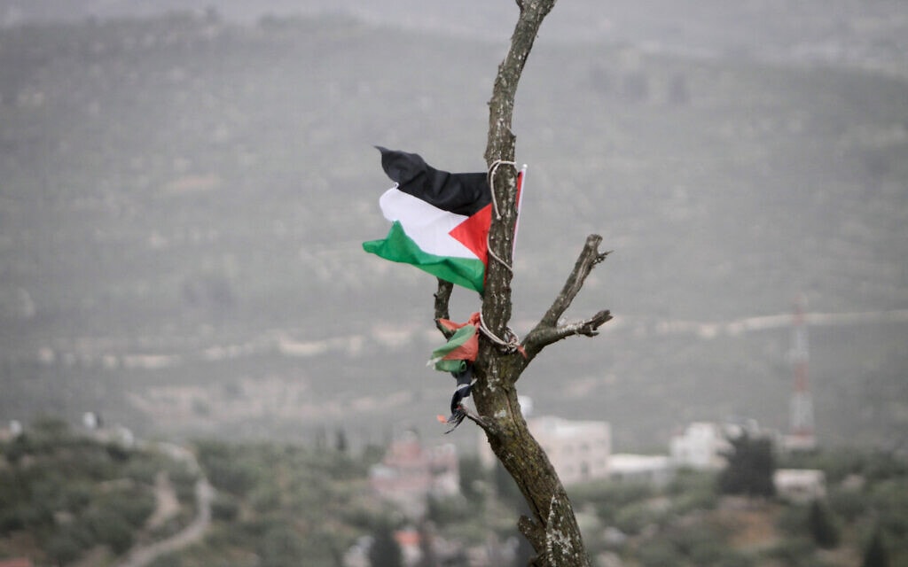 מחאה פלסטינית נגד הכשרת מאחז חומש, 27 במאי 2023 (צילום: Nasser Ishtayeh/Flash90)