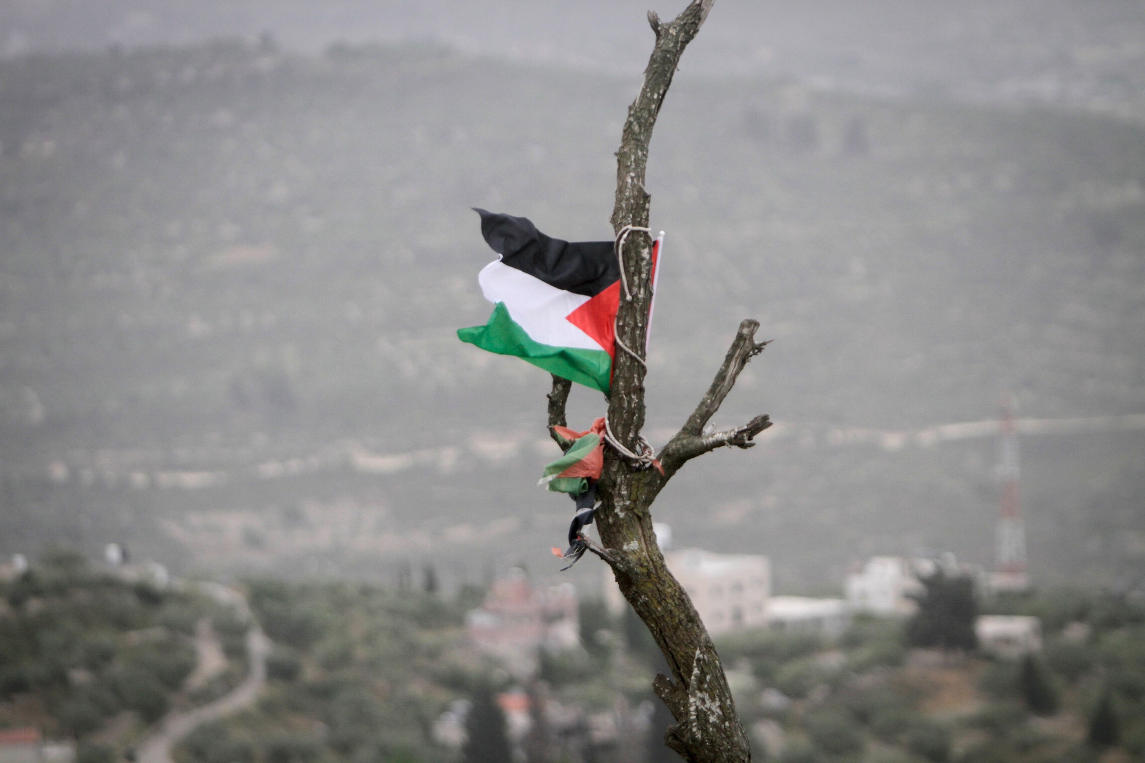 מחאה פלסטינית נגד הכשרת מאחז חומש, 27 במאי 2023 (צילום: Nasser Ishtayeh/Flash90)
