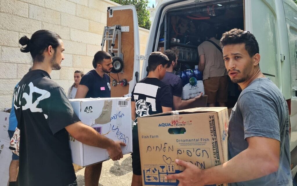מתנדבים בחרכז החירום הלוגיסטי בחיפה (צילום: יעל הורוביץ / חי פה)