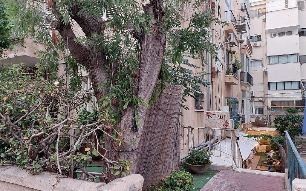 דירת המגורים של ישראל זעירא ברחוב אהרונוביץ' בתל אביב (צילום: עומר שרביט)