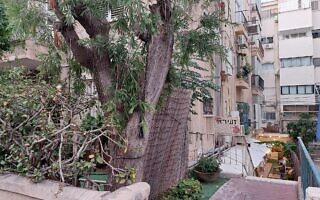 דירת המגורים של ישראל זעירא ברחוב אהרונוביץ' בתל אביב (צילום: עומר שרביט) דירת המגורים של ישראל זעירא ברחוב אהרונוביץ' בתל אביב (צילום: עומר שרביט)