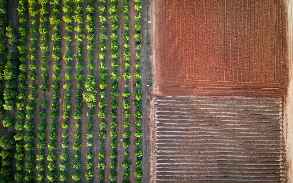 .מבט על שטח חקלאי בכפר מעש, 31 במאי 2023 (צילום: Omer Fichman/FLASH90)