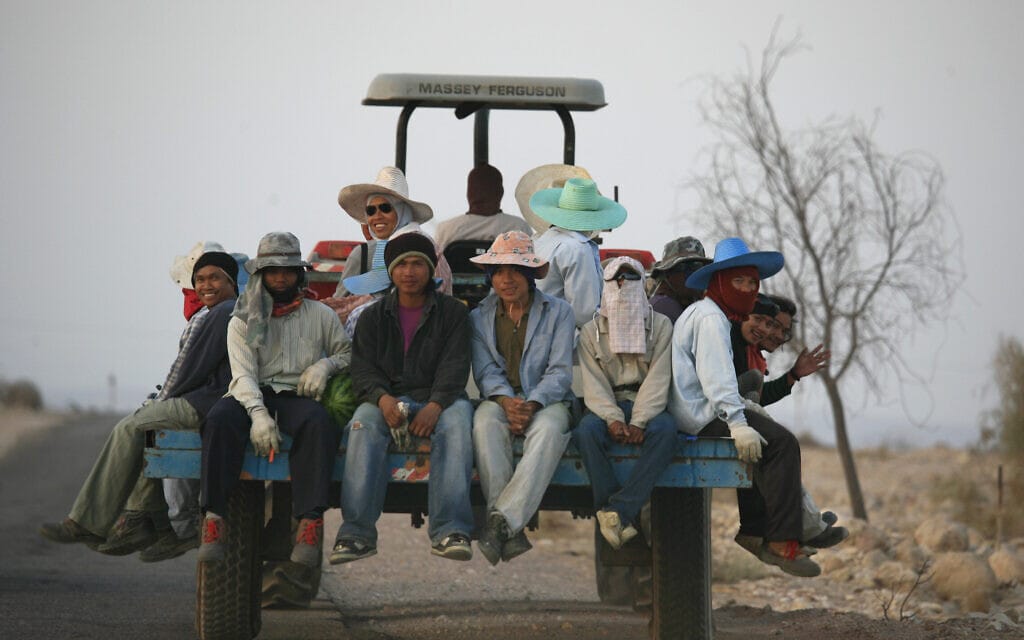 פועלים תאילנדים בערבה ב-2008 (צילום: נתי שוחט/פלאש90)