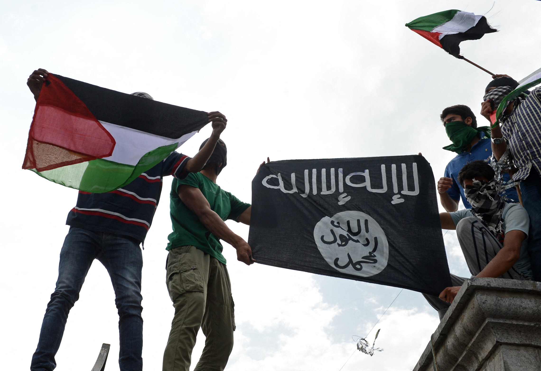 דגלי חמאס ופלסטין מונפים בקשמיר, יולי 2014 (צילום: Tauseef MUSTAFA / AFP)