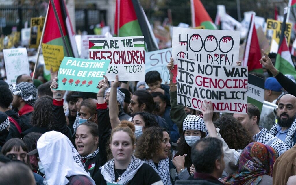 הפגנות פרו פלסטיניות בארה"ב, נובמבר 2023 (צילום: AP Photo/Jose Luis Magana)